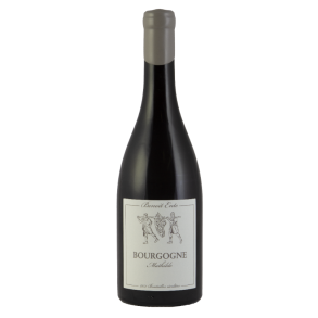 B. Ente, Bourgogne Pinot Noir "Mathilde" 2022