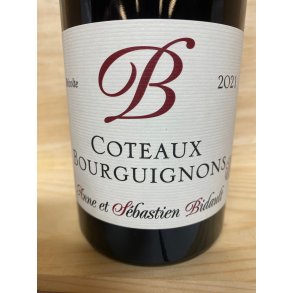 Anne et Sebastien Bidault, Coteaux Bourgignons 2023 (sans sulfites ajouté)