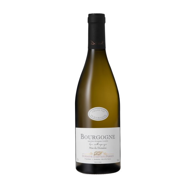 Darviot Perrin, Bourgogne Chardonnay Les Magnys 2022