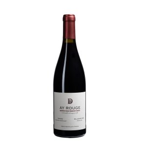 Doyard, Coteaux Champenois Rouge "Ay" 2020