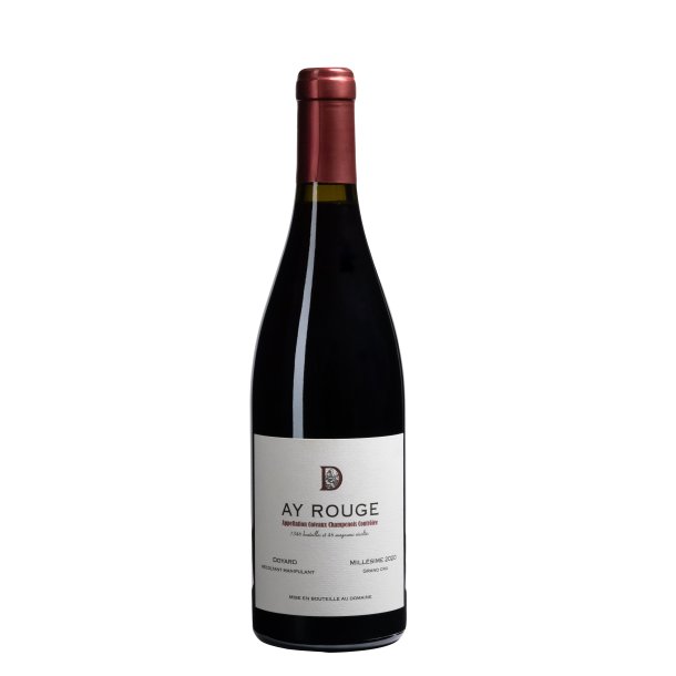 Doyard, Coteaux Champenois Rouge &quot;Ay&quot; 2020