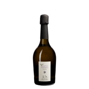 Doyard, Champagne Cuvée Monts Ferré 1. Cru 2016