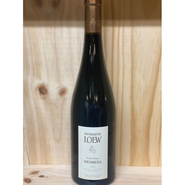 Domaine Loew, Pinot Noir Weinberg 2022