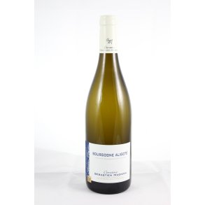 Sebastien Magnien, Bourgogne Aligoté 2023