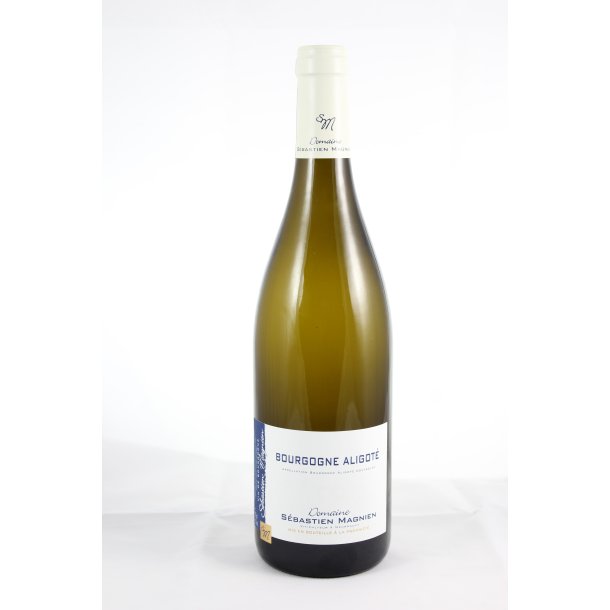 Sebastien Magnien, Bourgogne Aligoté 2023