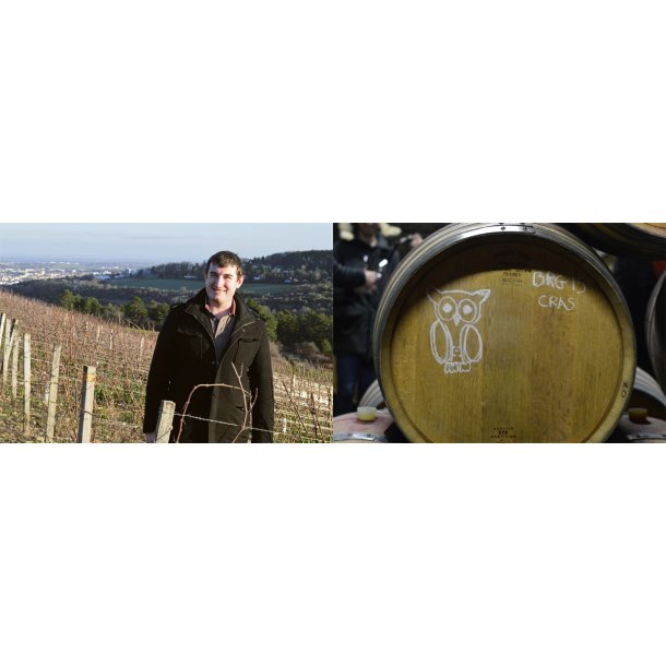 Marc Soyard, Bourgogne Blanc Acte 4 (Solera)